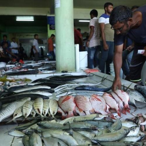 Explore Malé City: The Ultimate Walking Tour of the Maldives Capital Image