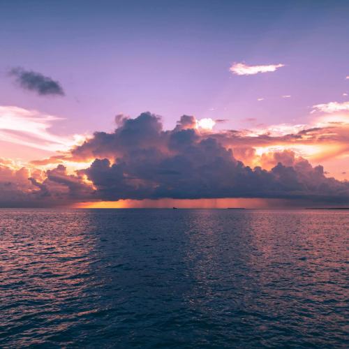 Sunset & Dolphins: An Unforgettable Cruise Experience! Image