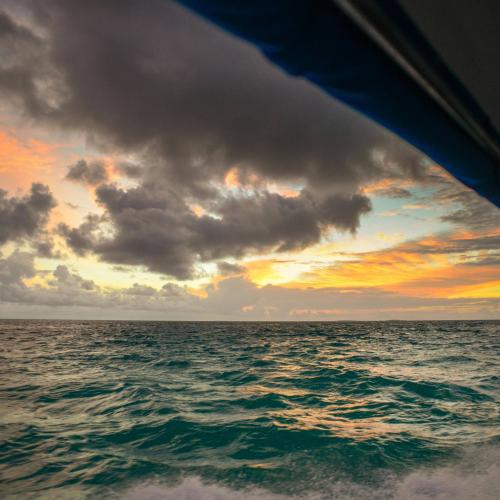 Sunset & Dolphins: An Unforgettable Cruise Experience! Image