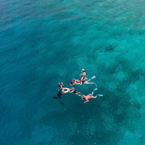 Unforgettable Sandbank Snorkeling & Sunset Cruise – Explore Maldives' Pristine Reefs & Breathtaking Views! Image