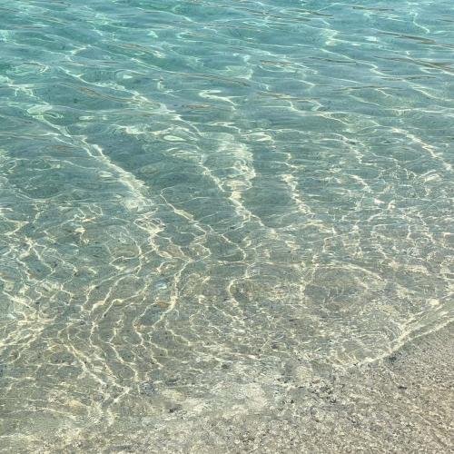 5-Hour Sandbank Escape – Snorkel, Swim & Relax on a Secluded Maldivian Paradise Image