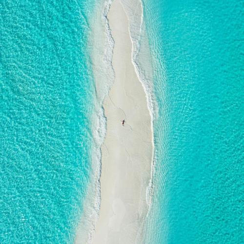 5-Hour Sandbank Escape – Snorkel, Swim & Relax on a Secluded Maldivian Paradise Image
