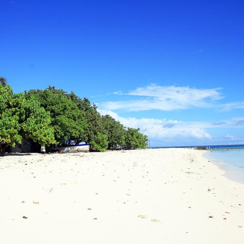 South Male Island Hopping: Your Ultimate Maldives Adventure Image
