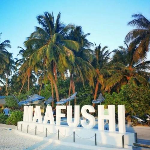 South Male Island Hopping: Your Ultimate Maldives Adventure Image
