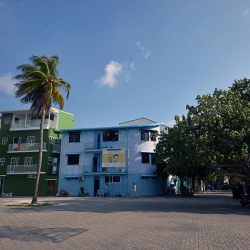 Walk Green in Villingili: A Guided Eco Tour Through Local Island Culture Image