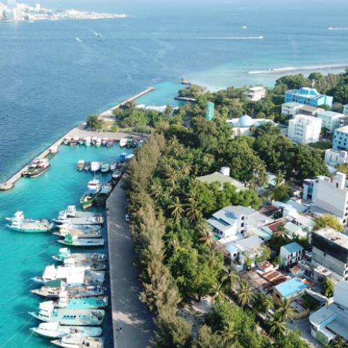 Walk Green in Villingili: A Guided Eco Tour Through Local Island Culture Image