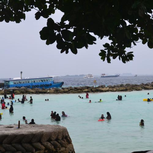 Walk Green in Villingili: A Guided Eco Tour Through Local Island Culture Image
