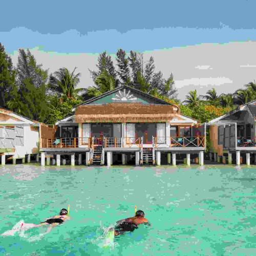 Malé: Taj Coral Reef Unveils Daycations - Your Island Getaway Awaits Image
