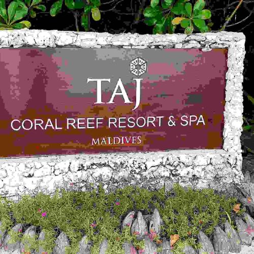 Hulhumale: Taj Coral Reef Daycations: Luxury Escapes Just for the Day Image