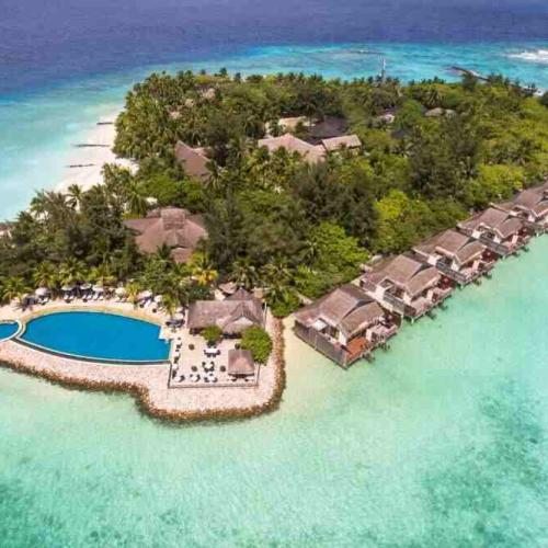 Hulhumale: Taj Coral Reef Daycations: Luxury Escapes Just for the Day Image